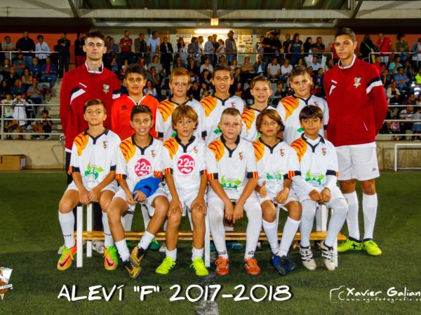 ALEVI F ALEVI F