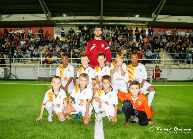 Benjamí D Benjamí D